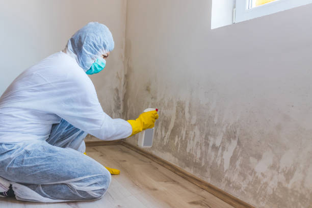 Hvac And Air Duct Mold Remediation inspection of HVAC system in Boston